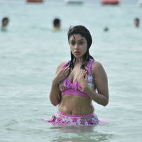 Payal Ghosh hot n spicy bikini gallery | Picture 71881